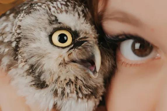 VegasWild Casino Support